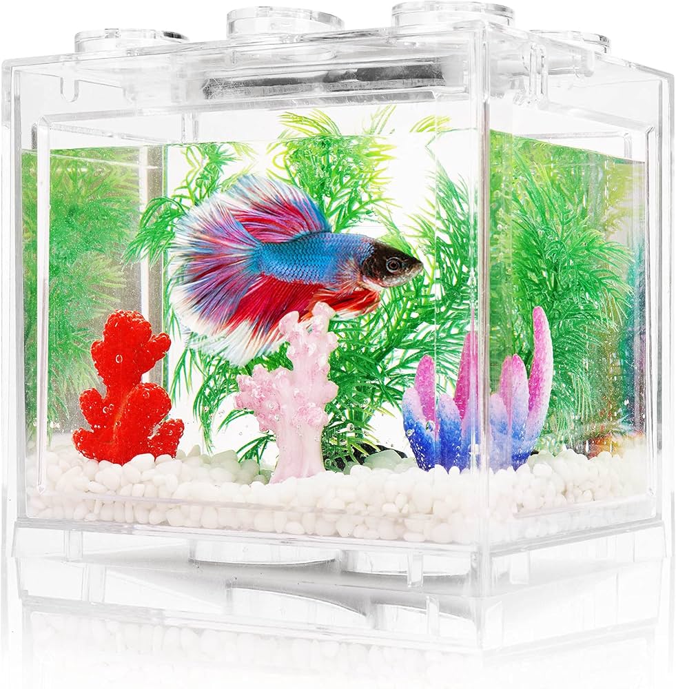 Fish Tanks & Accessories