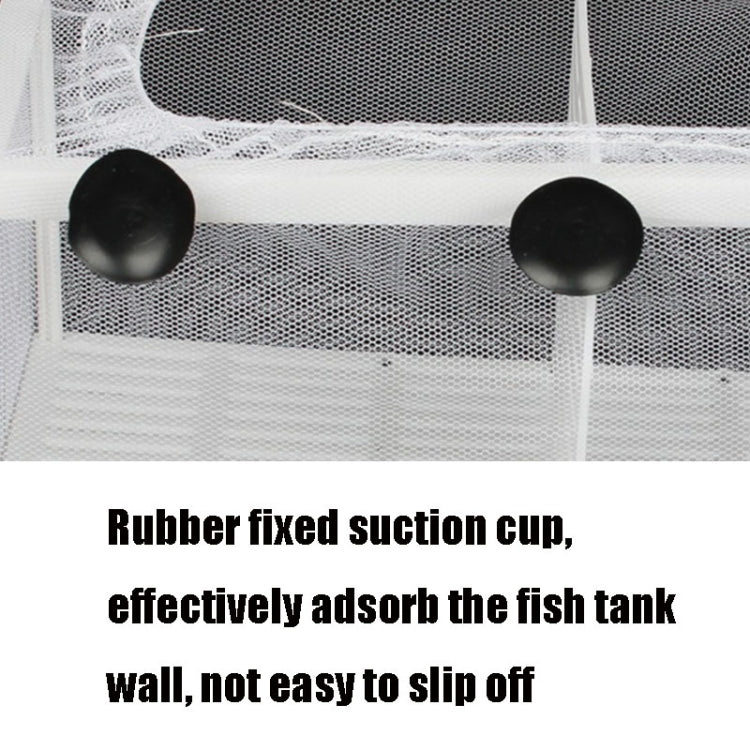 Large Aquarium Incubator Small Fish Isolation Box Net Tropical Fish Breeding Box, Without Clapboard