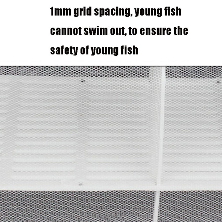 Large Aquarium Incubator Small Fish Isolation Box Net Tropical Fish Breeding Box, Without Clapboard