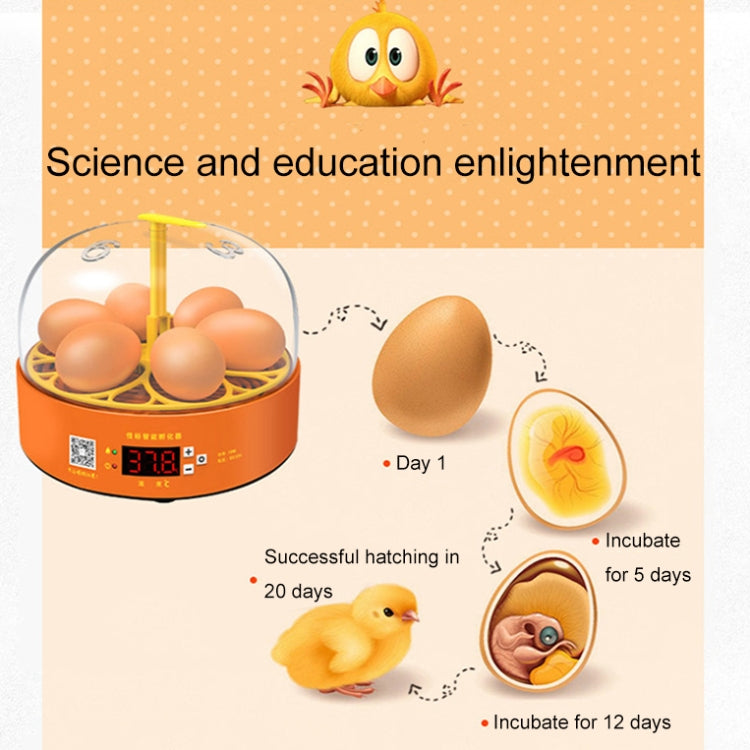 6-Eggs Small Household Experimental Children Smart Chicken Incubators, Manual US Plug, Automatic US Plug, Dual-electric Automatic US Plug, Manual EU Plug, Automatic EU Plug, Dual-electric Automatic EU Plug, Manual UK Plug, Automatic UK Plug