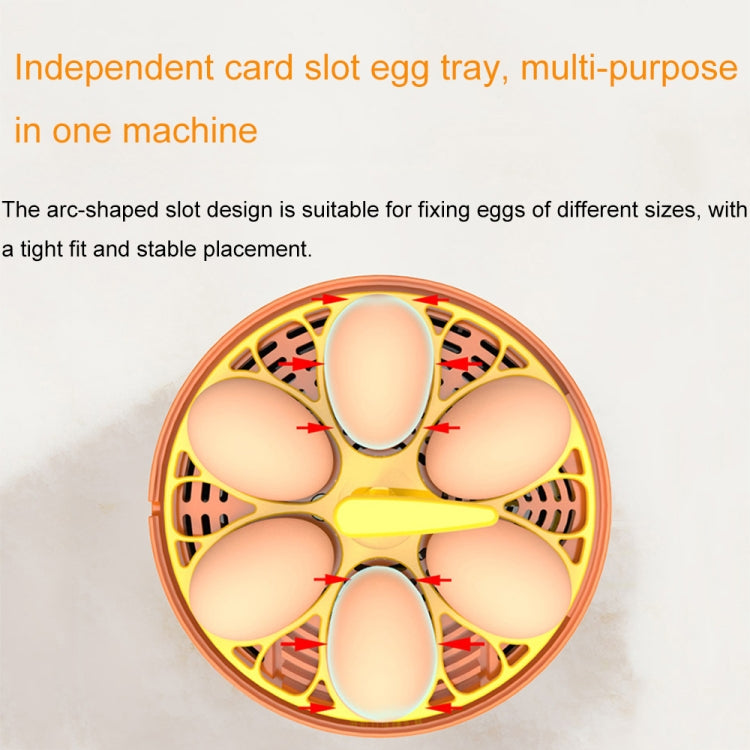 6-Eggs Small Household Experimental Children Smart Chicken Incubators, Manual US Plug, Automatic US Plug, Dual-electric Automatic US Plug, Manual EU Plug, Automatic EU Plug, Dual-electric Automatic EU Plug, Manual UK Plug, Automatic UK Plug