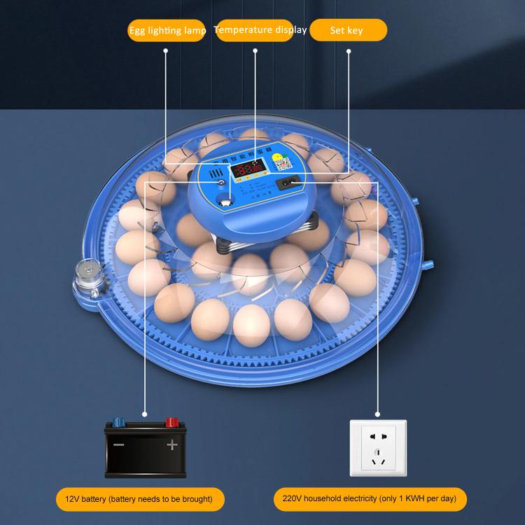 Automatic Incubator Supports 12V And 220V Power Supply, EU Plug, 8pcs Egg, 12pcs Egg, 16pcs Egg, 26pcs Egg, 30pcs Egg, 36pcs Egg, 48pcs Egg, 52pcs Egg, 62pcs Egg, 33pcs Bird  Egg, 103pcs Bird Egg, 248pcs Bird Egg