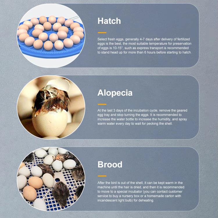 Automatic Incubator Supports 12V And 220V Power Supply, EU Plug, 8pcs Egg, 12pcs Egg, 16pcs Egg, 26pcs Egg, 30pcs Egg, 36pcs Egg, 48pcs Egg, 52pcs Egg, 62pcs Egg, 33pcs Bird  Egg, 103pcs Bird Egg, 248pcs Bird Egg